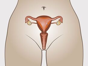 Implantarea ovulului fecundat în membrana mucoasă a uterului