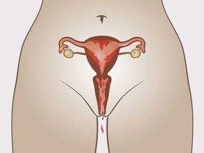 4. Período menstrual: membrana mucosa y sangre saliendo por la vagina. 