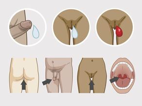 Заразената семенна течност, вагинална течност и менструална кръв могат да проникнат в тялото ви през лигавицата на ануса, главичката на пениса, влагалището и устата.